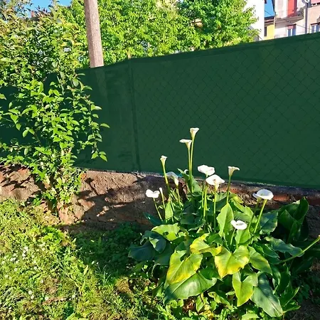 Apartmán Il Melograno