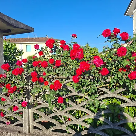 Il Melograno Apartamento La Spezia